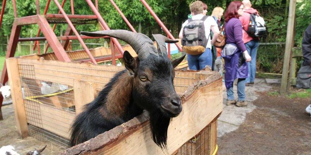 Foto: Birgits Tiergarten Facebook (Link siehe unten)